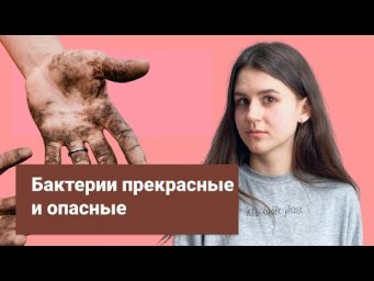 Все о бактериях