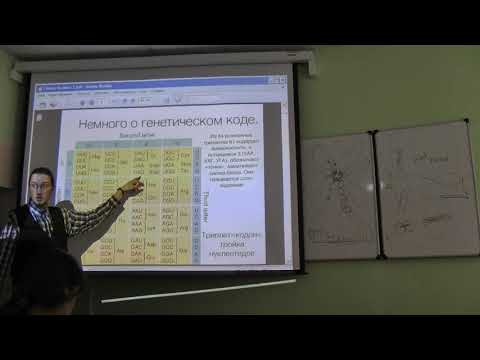 Молекулярная биология. Лекция 8. Часть 1. Никитин Д. М. edit