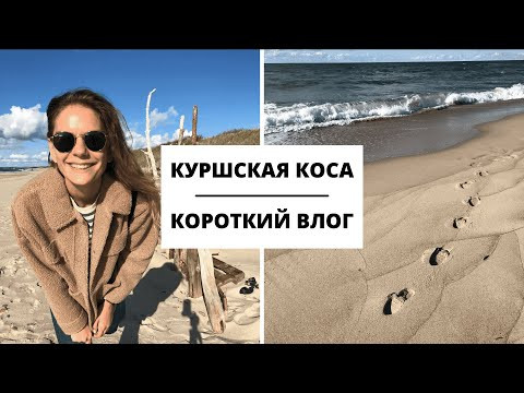 Путешествие по Калининградской области. Часть 2 || Влоги Путешествие по Калининградской области. Часть 2 || Влоги