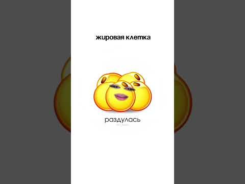 ЧАСТЬ 3. смотрим на внутренний мир нашего организма 