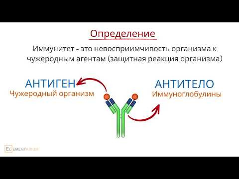 Иммунитет. Виды иммунитета Иммунитет. Виды иммунитета