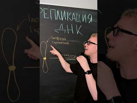 тгк: Биология с Яном #биология #химия #рек #школа