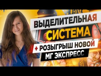 МОЧЕВЫДЕЛИТЕЛЬНАЯ СИСТЕМА ЕГЭ