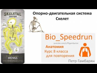 10. Скелет (Speedrun анатомия 8 класс, ЕГЭ, ОГЭ 2021)