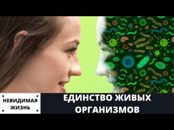 Невидимая жизнь  Единство живых организмов