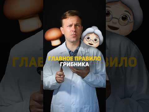 Главное правило грибника! 