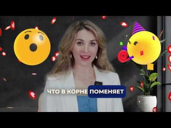 Английский для Спокойных Путешествий