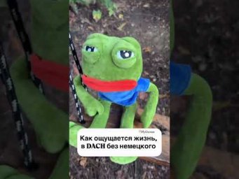 Хватит учить немецкий &laquo;в теории&raquo; ✋