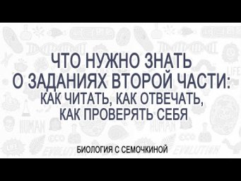 Что нужно знать о заданиях второй части: как читать, как отвечать, как проверять себя