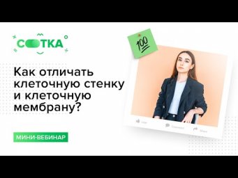 Как отличать клеточную стенку и клеточную мембрану? | БИОЛОГИЯ ЕГЭ | СОТКА