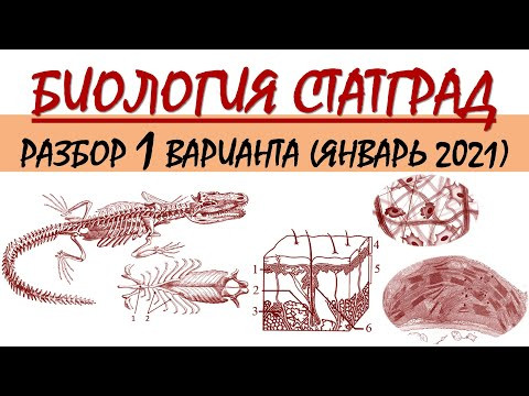 СТАТГРАД БИОЛОГИЯ | 1 вариант | Январь 2021 СТАТГРАД БИОЛОГИЯ | 1 вариант | Январь 2021