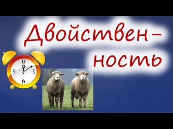 Двойственность немецких падежей в обстоятельствах времени. Обстоятельства с предлогом и без предлога