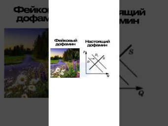 ДОФАМИН #обществознание #memes #сотка #мем #егэ