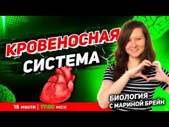 Кровеносная система ЕГЭ | Пробная неделя мастер-группы с Мариной Брейн