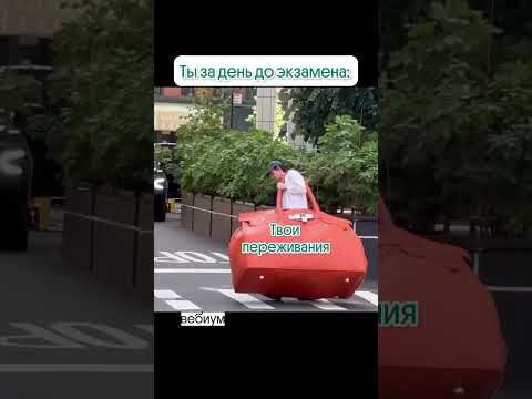 Все будет хорошо ❤️ #биология #школа #егэ2024 #вебиум