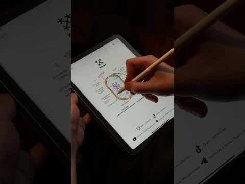 Бактерии | Биология с Яном