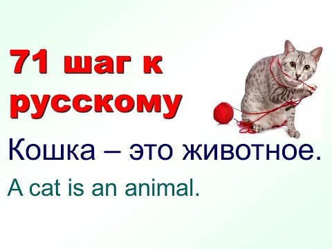 Собака - это не человек. Русский как иностранный. 71 шаг к русскому языку 10 урок Собака - это не человек. Русский как иностранный. 71 шаг к русскому языку 10 урок