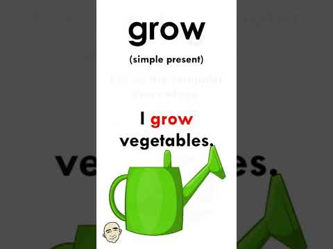 #shorts Simple Present Tense Verbs | Mark Kulek ESL #shorts Simple Present Tense Verbs | Mark Kulek ESL