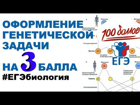КАК ПРАВИЛЬНО ОФОРМИТЬ ЗАДАЧУ ПО ГЕНЕТИКЕ (ЕГЭ БИОЛОГИЯ) КАК ПРАВИЛЬНО ОФОРМИТЬ ЗАДАЧУ ПО ГЕНЕТИКЕ (ЕГЭ БИОЛОГИЯ)