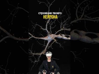 а подготовиться к ЕГЭ по биологии на сотку, можешь вместе со мной