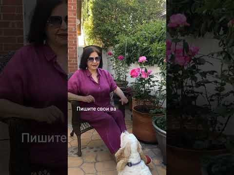 Как это будет по-английски: "туплю, торможу"... #наташакупер
