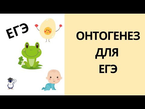 Онтогенез. Эмбриональное и постэмбриональное развитие организмов для ЕГЭ Онтогенез. Эмбриональное и постэмбриональное развитие организмов для ЕГЭ