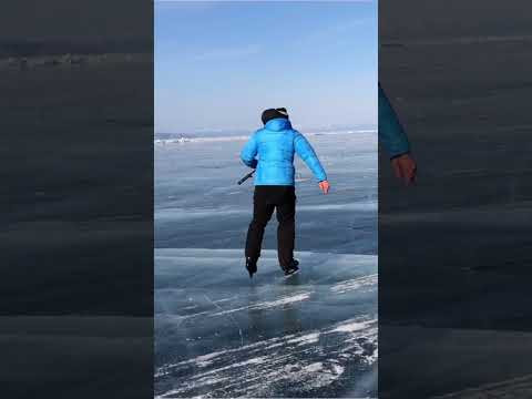 Корова на Байкале