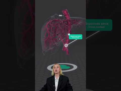мой тг: bio100ege, все шпаргалки для егэ тут❤️  #биология #сотка #животные #егэ