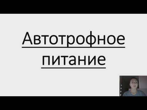 Автотрофное питание. Фототрофы и хемотрофы.