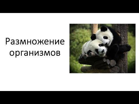 Способы размножения. Типы полового и бесполого размножения