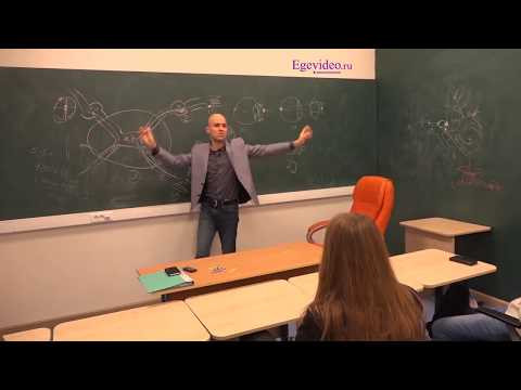 Строение соматической нервной системы. Рефлекторная дуга