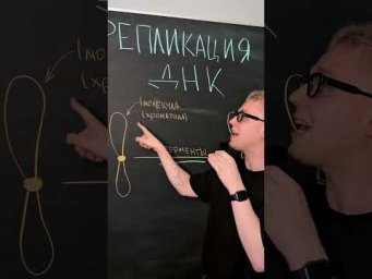 тгк: Биология с Яном #биология #химия #рек #школа