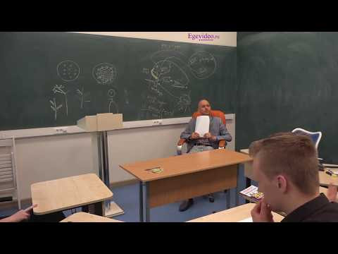 Систематизация знаний перед ЕГЭ-2019. Часть 19