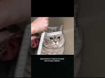 и не ври, что не так 