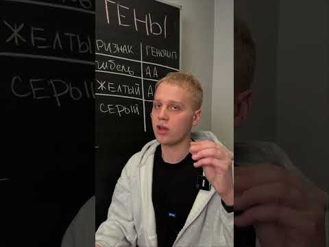 Летальные гены | Биология с Яном