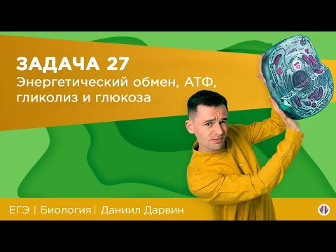 Задача 27. Энергетический обмен, АТФ, Гликолиз и глюкоза Задача 27. Энергетический обмен, АТФ, Гликолиз и глюкоза