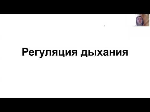 Регуляция дыхания