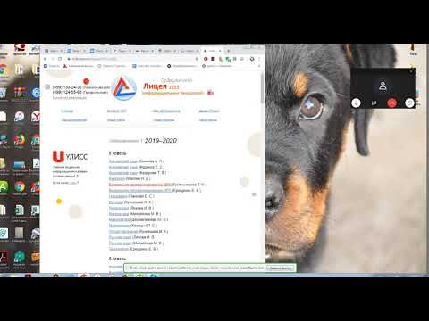 Цикл while Python Д255