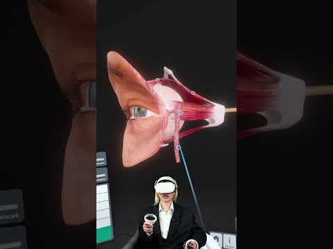 а полезный файл с полезняком, можешь получит в моём в тг канале ❤️#биология #сотка #егэбиология а полезный файл с полезняком, можешь получит в моём в тг канале ❤️#биология #сотка #егэбиология