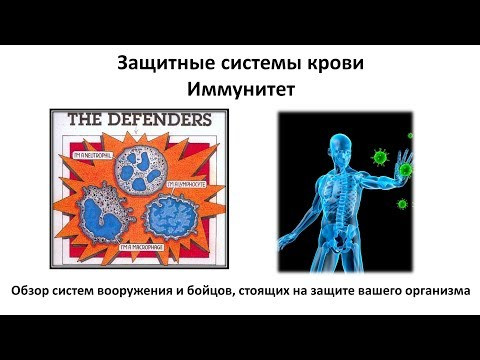 6.2 Иммунитет (8 класс) - биология, подготовка к ЕГЭ и ОГЭ 2019