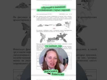 Записывайтесь ко мне на курс через тгк @webium_bio #биология #егэ #егэ2027 #биологияегэ