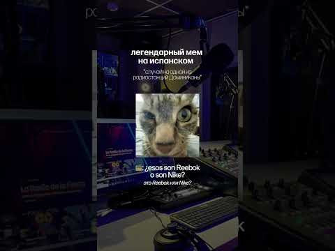легендарнейшей мем, произошедший на одной из радиостанций Доминиканской республики 