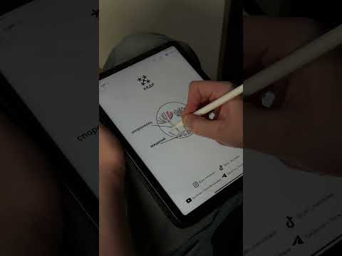 Пеницилл | Биология с Яном Пеницилл | Биология с Яном