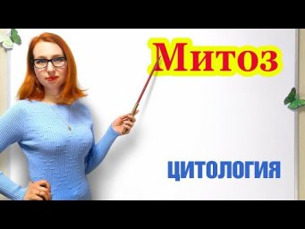 Митоз