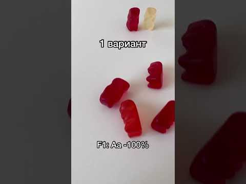 Неполное доминирование #биология #егэ #егэ2024 #мармеладныемедведи #генетика