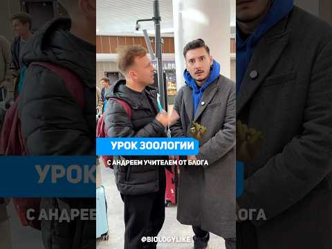 Урок зоологии с учителем от блога! #биология