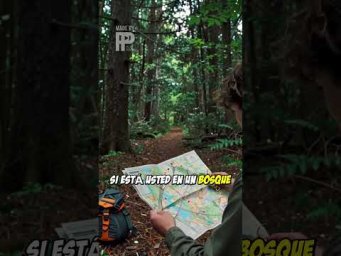 Si est&aacute; usted en un bosque y no sabe donde ir