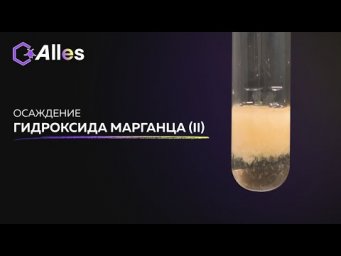 ПОЛУЧЕНИЕ ГИДРОКСИДА МАРГАНЦА (II)