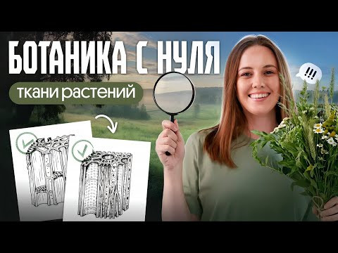ТКАНИ РАСТЕНИЙ ДЛЯ ЕГЭ ПО БИОЛОГИИ 2026 ТКАНИ РАСТЕНИЙ ДЛЯ ЕГЭ ПО БИОЛОГИИ 2026