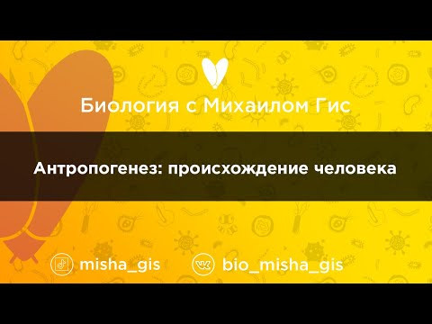 Антропогенез: происхождение человека | ЕГЭ ОГЭ Биология с Михаилом Гис